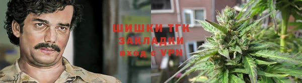 сатива Сосновый Бор