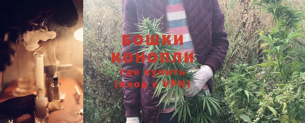 трава Сосновоборск