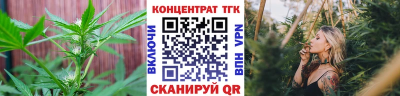 ТГК вейп с тгк  ОМГ ОМГ маркетплейс  Оха 