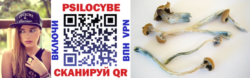 дарк нет клад  Оха  Псилоцибиновые грибы Cubensis 